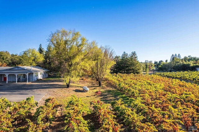 725 Lytton Station Rd, Healdsburg, CA 95448 - view of yard with driveway