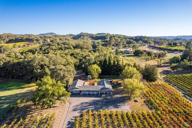 725 Lytton Station Rd, Healdsburg, CA 95448 - aerial view of sparsely populated area featuring farmland