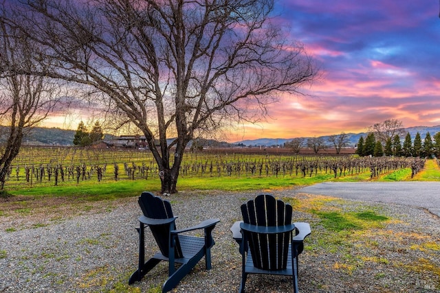 725 Lytton Station Rd, Healdsburg, CA 95448 - view of yard with a view of rural / pastoral area, a mountain view, and agricultural plots