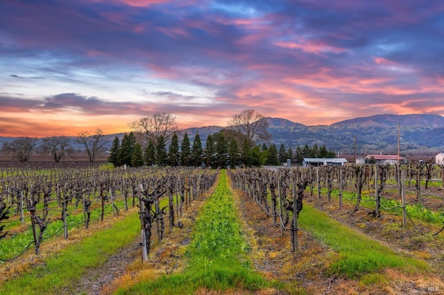 725 Lytton Station Rd, Healdsburg, CA 95448 - view of mountain background featuring extensive farmland and rural landscape