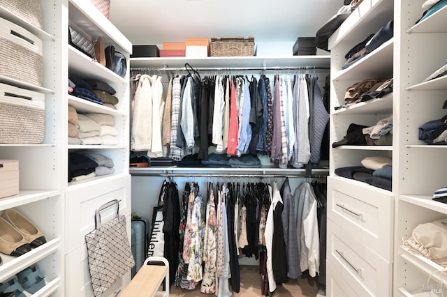 20 Almenar Dr, Greenbrae, CA 94904 - view of walk in closet