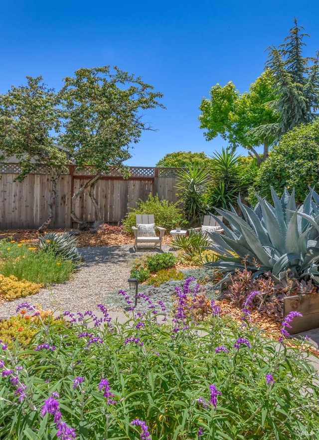 1721 Northstar Dr, Petaluma, CA 94954 - view of yard