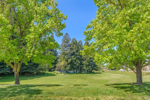 1721 Northstar Dr, Petaluma, CA 94954 - view of grassy yard