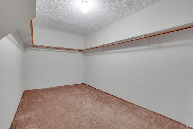 4009 Rimrock Dr, Antioch, CA 94509 - walk in closet featuring carpet flooring