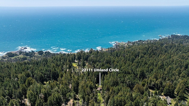 22111 Umland Cir, Jenner, CA 95450 - drone / aerial view of a forest and a nearby body of water