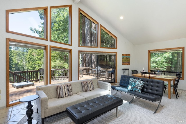22111 Umland Cir, Jenner, CA 95450 - living room with high vaulted ceiling