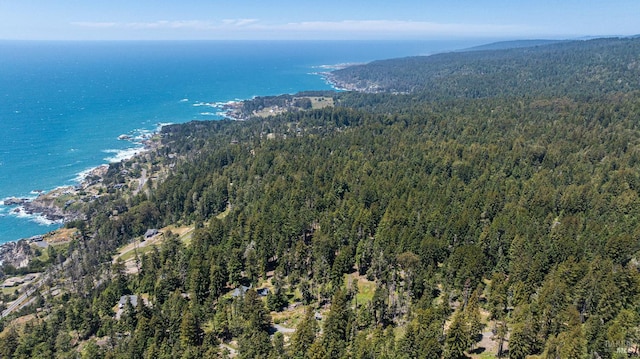 22111 Umland Cir, Jenner, CA 95450 - aerial overview of property's location featuring a forest and a water and mountain view