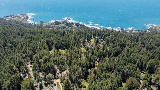 22111 Umland Cir, Jenner, CA 95450 - bird's eye view of a heavily wooded area
