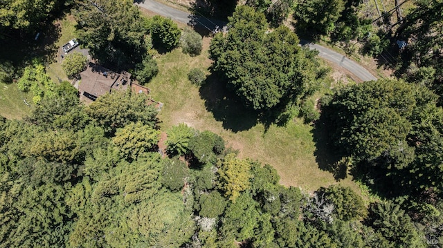 22111 Umland Cir, Jenner, CA 95450 - aerial view of property and surrounding area
