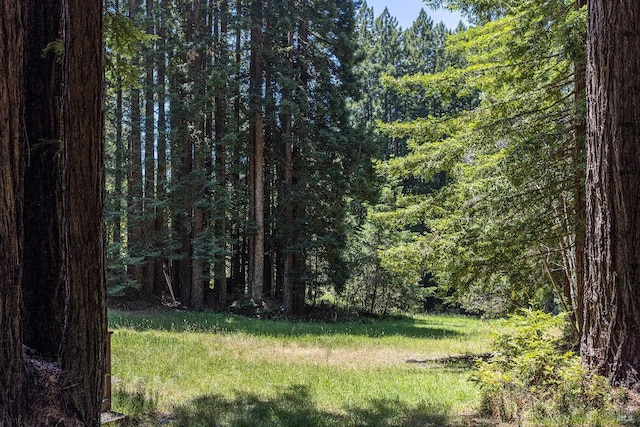 22111 Umland Cir, Jenner, CA 95450 - view of grassy yard with a forest view
