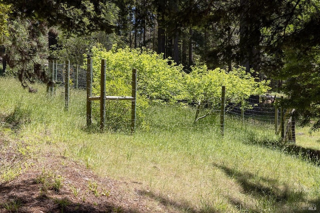 22111 Umland Cir, Jenner, CA 95450 - view of nature
