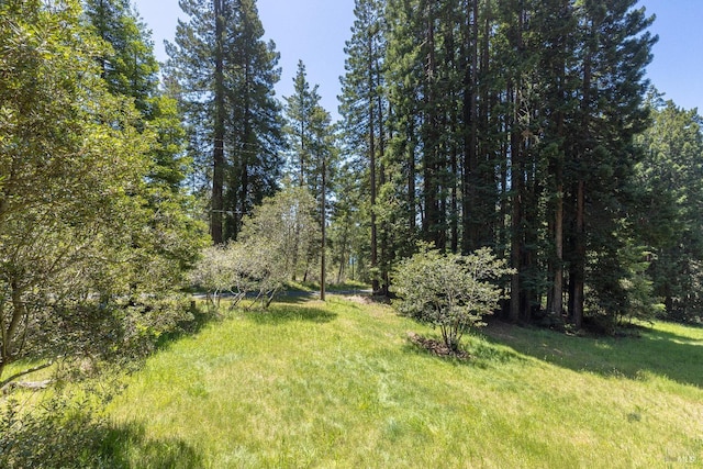 22111 Umland Cir, Jenner, CA 95450 - view of green lawn with a forest view
