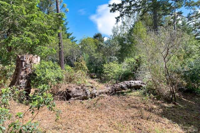 0 Douglas Dr, Inverness, CA 94937