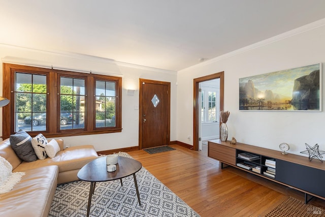439 4th St E, Sonoma, CA 95476 - living room featuring wood finished floors, baseboards, and ornamental molding