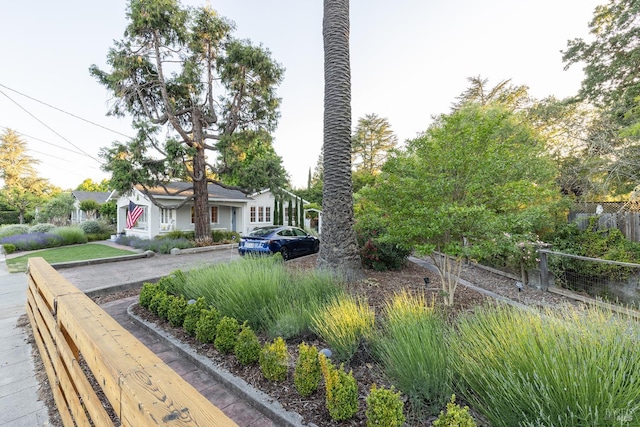 439 4th St E, Sonoma, CA 95476 - view of yard