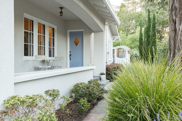 439 4th St E, Sonoma, CA 95476 - property entrance featuring stucco siding
