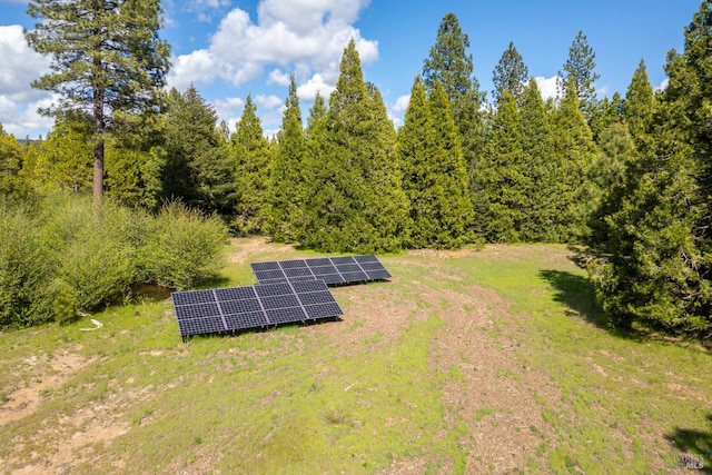 9547 Grassland Ct, Shingletown, CA 96088 - view of yard