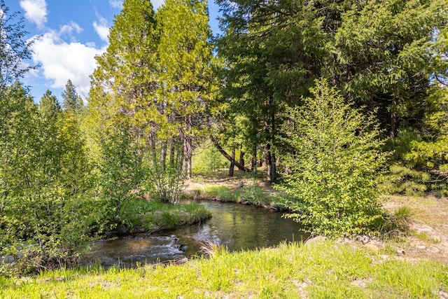 9547 Grassland Ct, Shingletown, CA 96088 - view of local wilderness