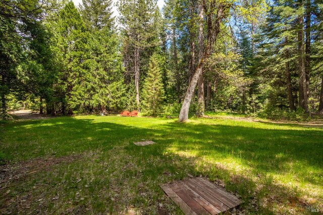 9547 Grassland Ct, Shingletown, CA 96088 - view of green lawn with a forest view