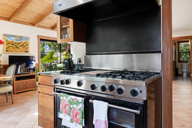 7 Linsdale Ln, Point Reyes Station, CA 94956 - kitchen with high end range, light tile patterned floors, plenty of natural light, and wood ceiling