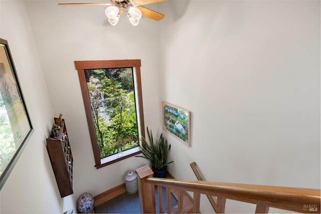 7 Linsdale Ln, Point Reyes Station, CA 94956 - stairs with a ceiling fan, baseboards, and carpet flooring