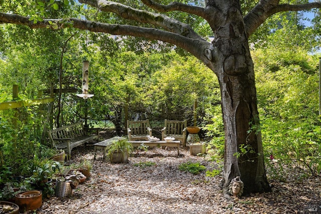 7 Linsdale Ln, Point Reyes Station, CA 94956 - view of yard with a view of trees