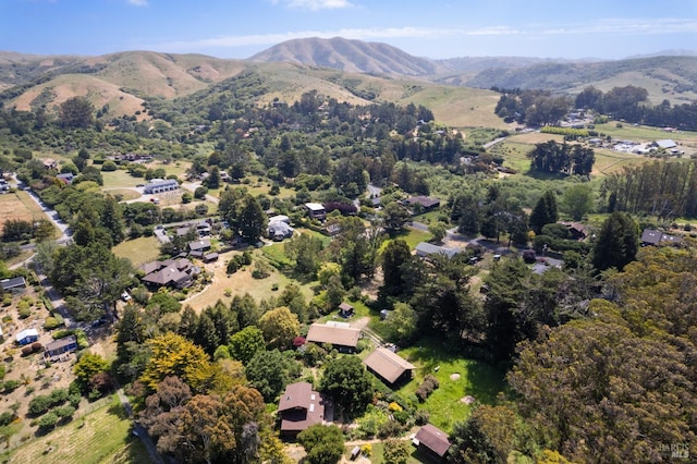 7 Linsdale Ln, Point Reyes Station, CA 94956 - aerial view of property's location with a mountain backdrop