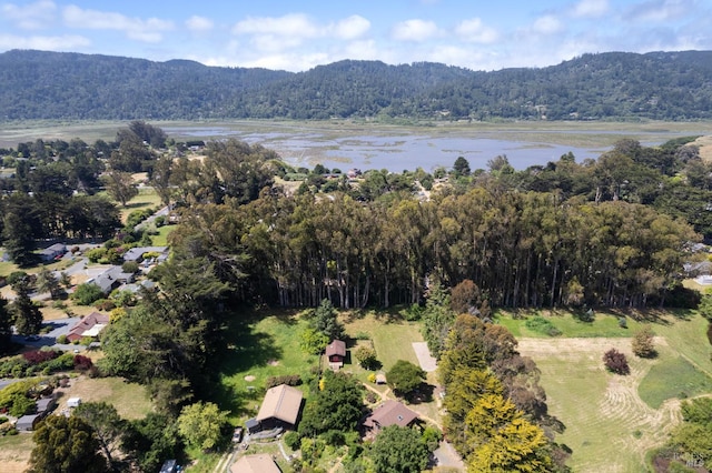 7 Linsdale Ln, Point Reyes Station, CA 94956 - aerial overview of property's location with a forest and a water and mountain view