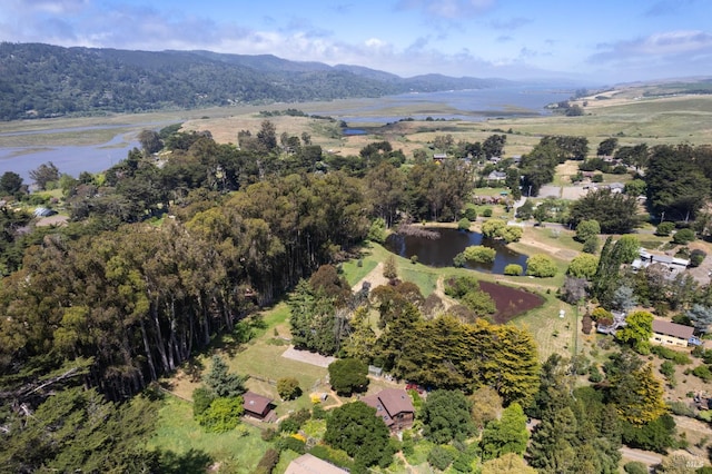 7 Linsdale Ln, Point Reyes Station, CA 94956 - aerial view of property's location with a water and mountain view