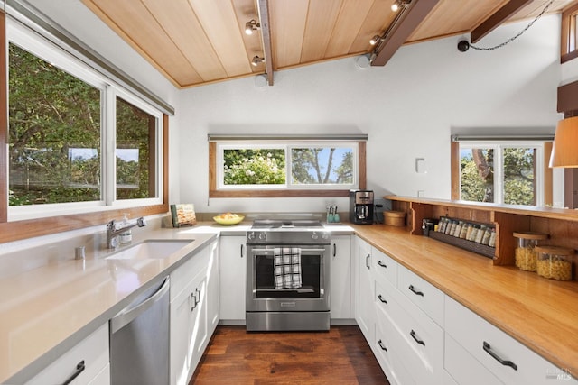 168 Vision Rd, Inverness, CA 94937 - kitchen with appliances with stainless steel finishes, a sink, wooden ceiling with exposed beams, light countertops, and dark wood finished floors