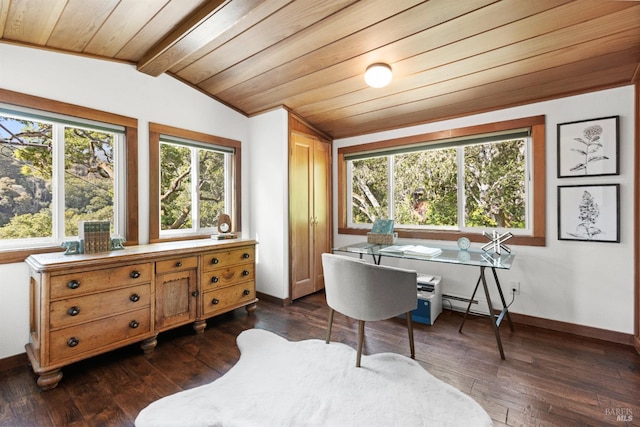 168 Vision Rd, Inverness, CA 94937 - office space with baseboards, dark wood-style floors, wood ceiling, and baseboard heating