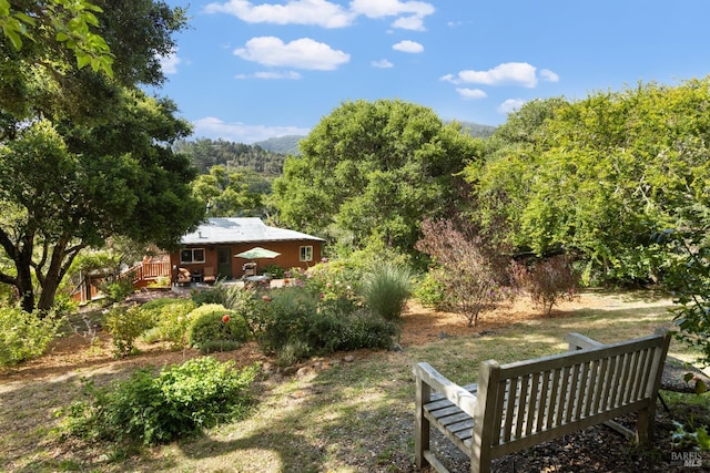 168 Vision Rd, Inverness, CA 94937 - view of yard with a view of trees