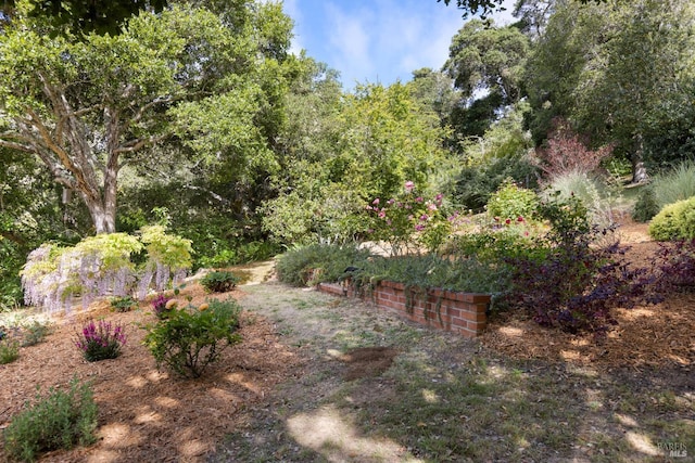 168 Vision Rd, Inverness, CA 94937 - view of yard