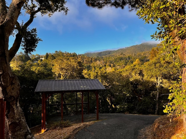168 Vision Rd, Inverness, CA 94937 - exterior space with a view of trees