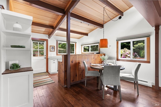 168 Vision Rd, Inverness, CA 94937 - dining room with dark wood finished floors, wood ceiling, and a baseboard radiator
