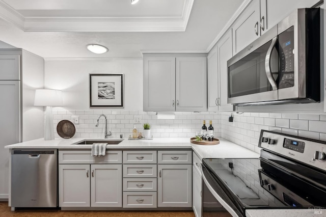 9 California Condor Way, Novato, CA 94949 - kitchen featuring appliances with stainless steel finishes, a sink, gray cabinets, ornamental molding, and decorative backsplash