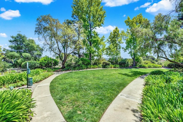 21100 Gary Dr Unit 215, Hayward, CA 94546 - view of property's community featuring a lawn