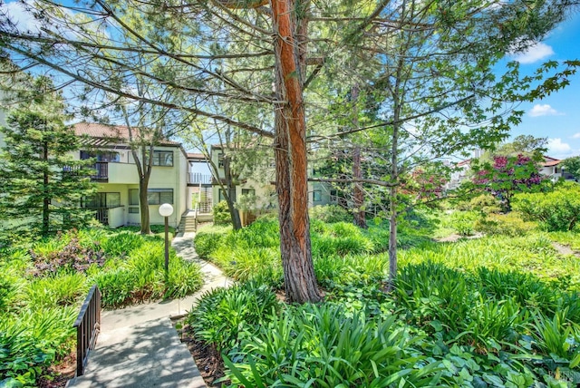 21100 Gary Dr Unit 215, Hayward, CA 94546 - view of yard