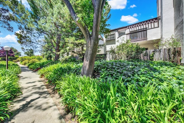 21100 Gary Dr Unit 215, Hayward, CA 94546 - view of community