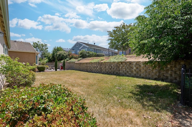 619 Turnberry Ter, Rio Vista, CA 94571 - view of yard