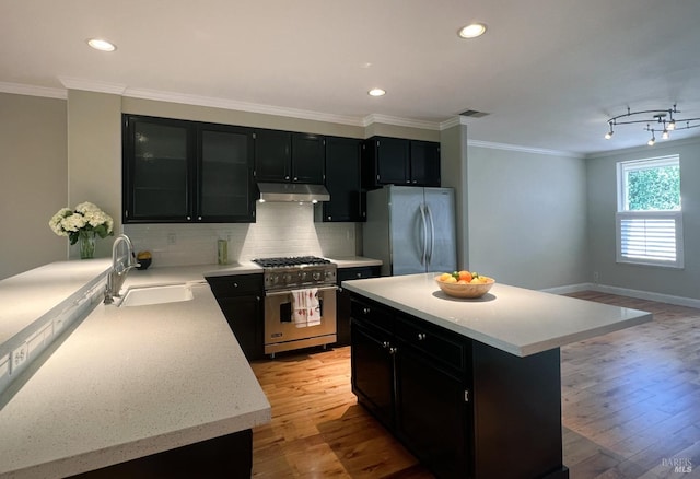 764 Mcclelland Dr, Windsor, CA 95492 - kitchen with appliances with stainless steel finishes, dark cabinets, under cabinet range hood, a sink, and light wood-style flooring