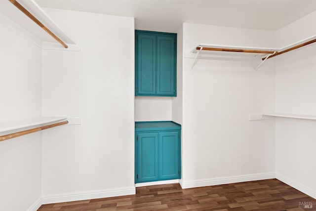 1039 Aston Cir, Santa Rosa, CA 95404 - spacious closet with dark wood finished floors