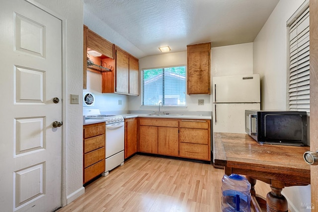 5851 Vine Hill Rd, Sebastopol, CA 95472 - kitchen with white appliances, a sink, light wood-style floors, open shelves, and light countertops