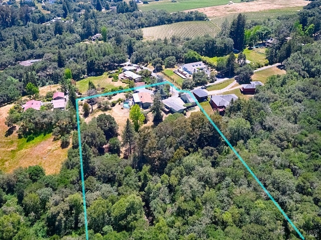 5851 Vine Hill Rd, Sebastopol, CA 95472 - aerial view of sparsely populated area featuring property boundaries highlighted
