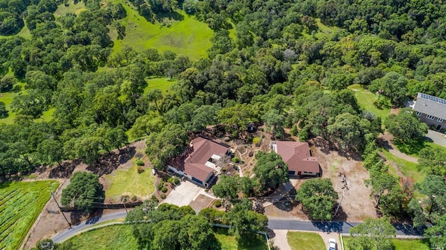 5010 Sleepy Hollow Ln, Fairfield, CA 94534 - aerial view of a forest