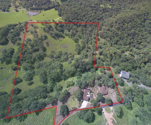 5010 Sleepy Hollow Ln, Fairfield, CA 94534 - aerial view of property and surrounding area with a heavily wooded area and property boundaries highlighted