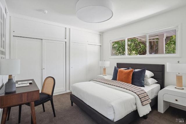 115 Leland Way, Tiburon, CA 94920 - bedroom featuring dark carpet and a closet