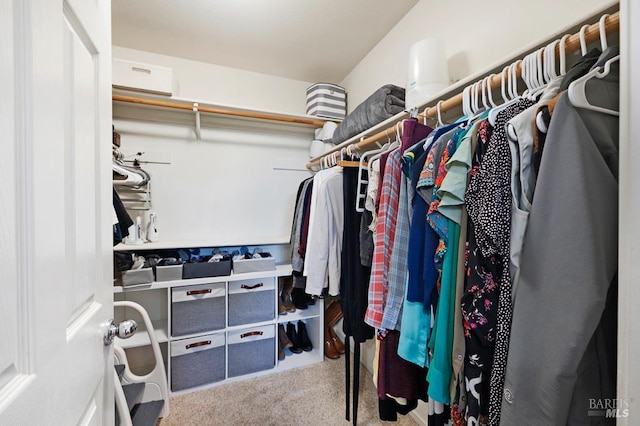2775 Red Tail St, Santa Rosa, CA 95407 - spacious closet featuring carpet floors