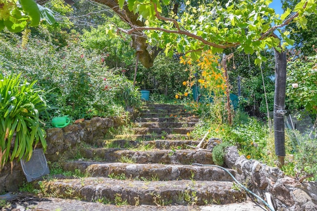 221 Tiburon Blvd, San Rafael, CA 94901 - view of yard