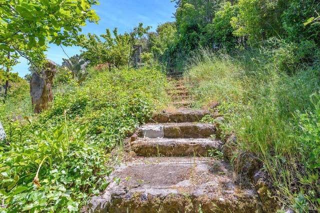 221 Tiburon Blvd, San Rafael, CA 94901 - view of local wilderness